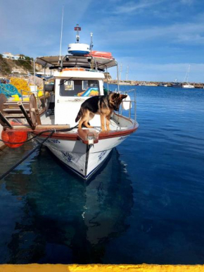 Poseidon boat trips